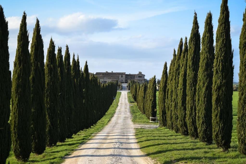 Cozy Home In Countryside Asciano Siena -Renovated! Esterno foto